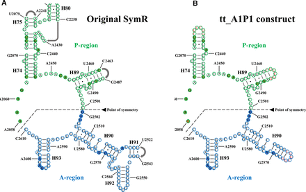 FIGURE 1.