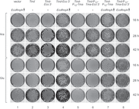FIGURE 10.