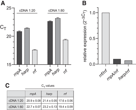 FIGURE 11.