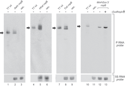 FIGURE 7.