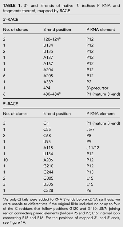 TABLE 1.