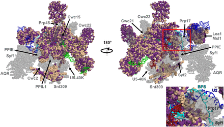 FIGURE 10.