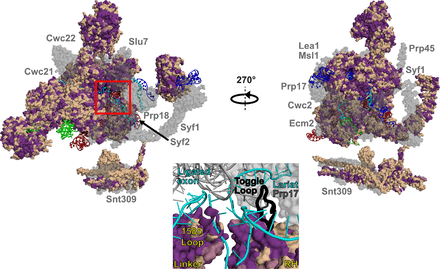 FIGURE 11.