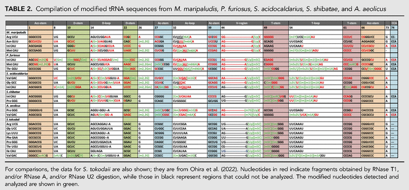 TABLE 2.