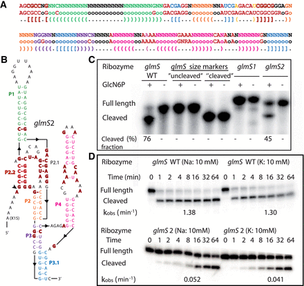 FIGURE 3.