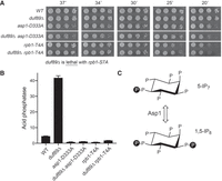 FIGURE 1.