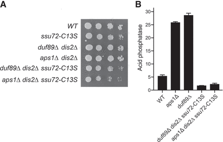 FIGURE 10.
