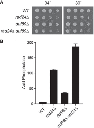 FIGURE 11.