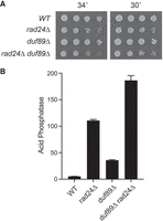 FIGURE 11.