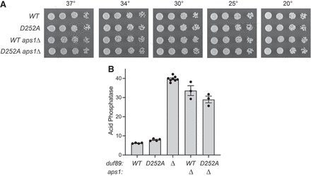 FIGURE 12.
