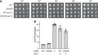 FIGURE 12.