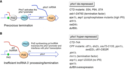 FIGURE 14.