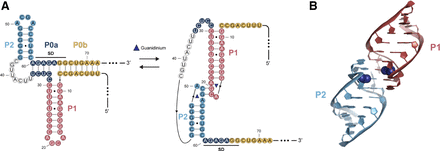 FIGURE 1.