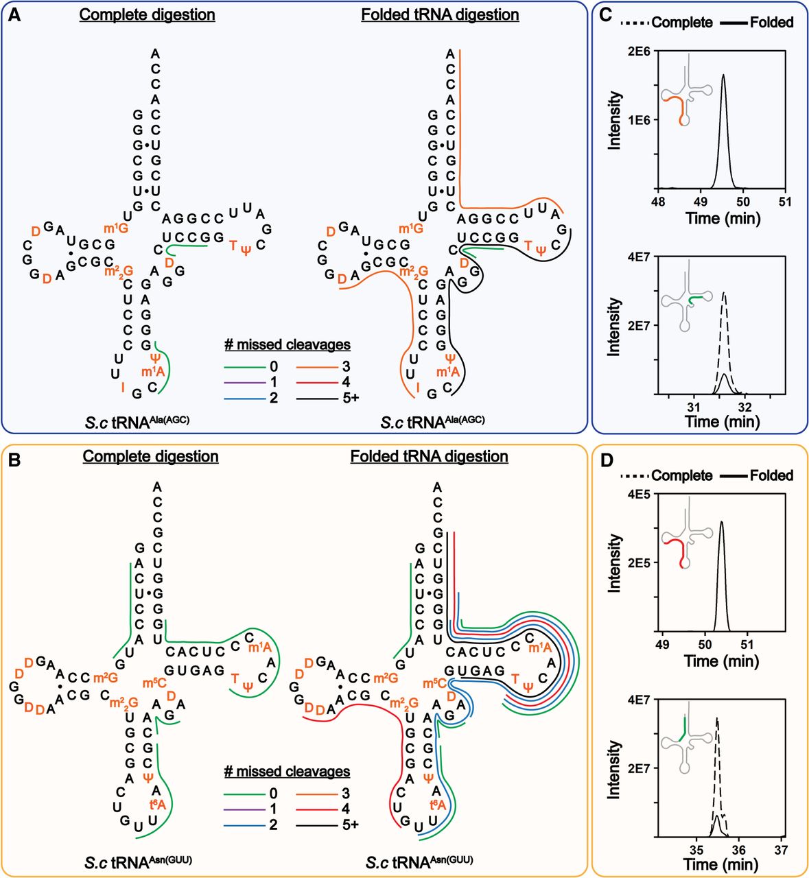 Direct sequencing of total Saccharomyces cerevisiae tRNAs by LC–MS/MS