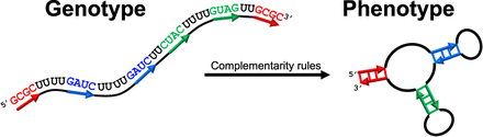 FIGURE 1.