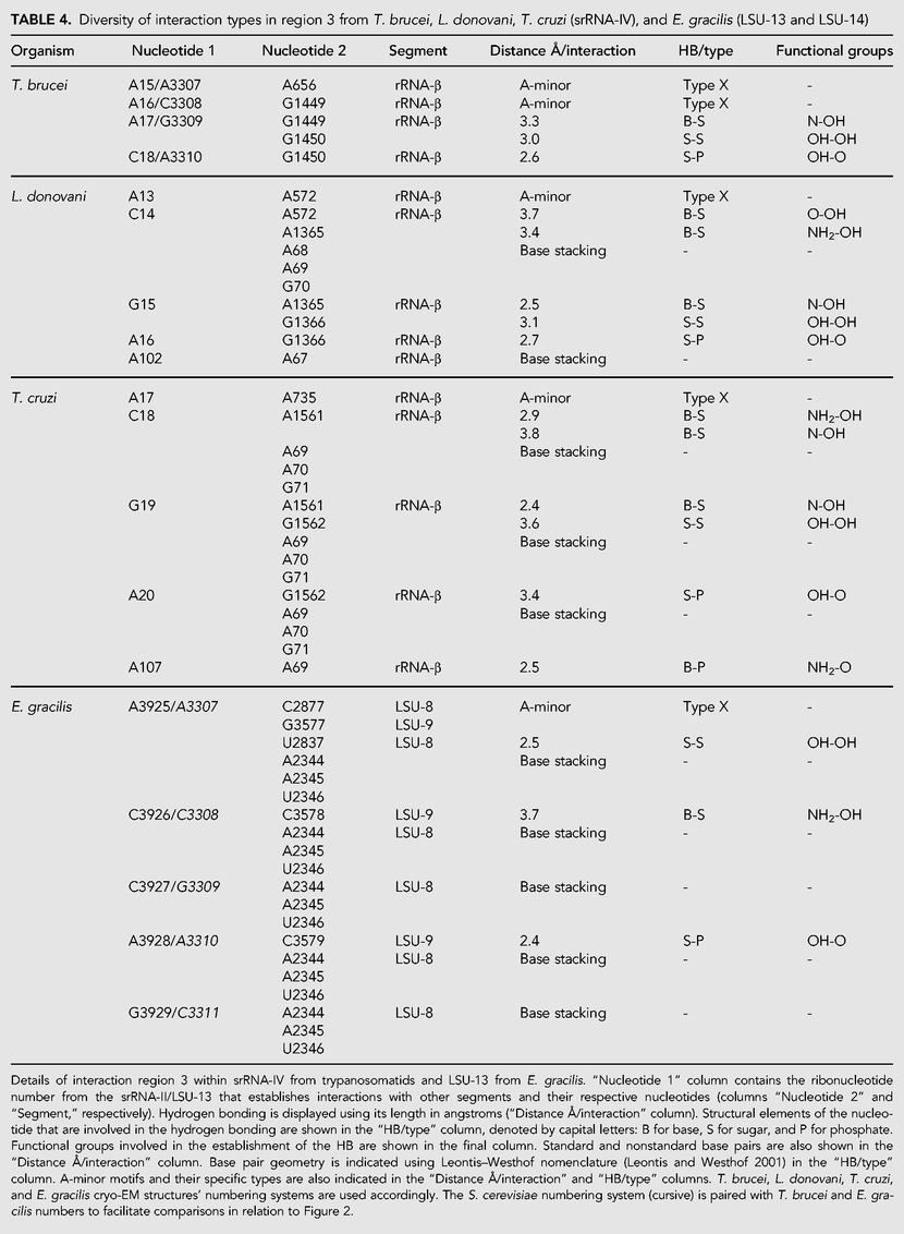 TABLE 4.