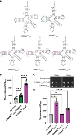 FIGURE 2.
