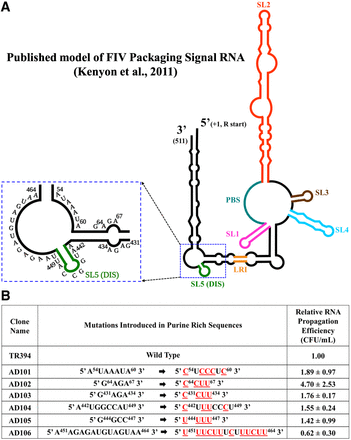 FIGURE 1.