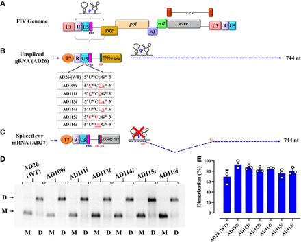 FIGURE 4.