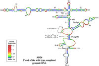 FIGURE 5.