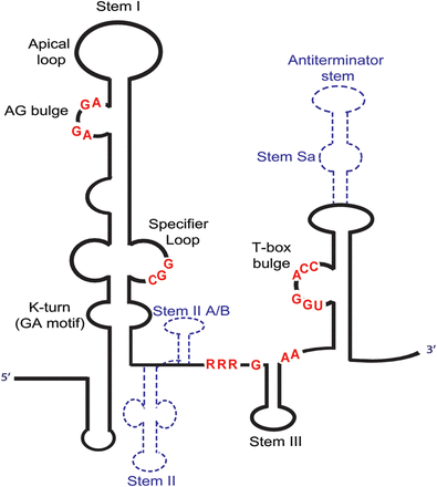 FIGURE 1.