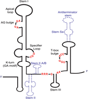 FIGURE 1.