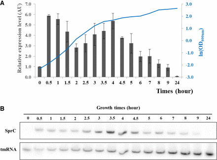 FIGURE 1.