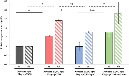 FIGURE 4.