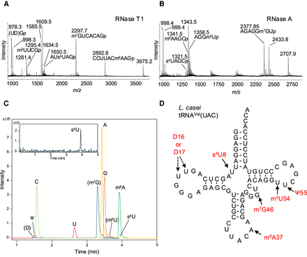 FIGURE 4.