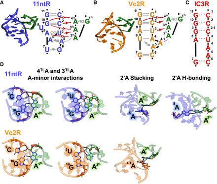 FIGURE 1.