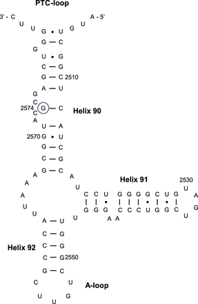 FIGURE 1.