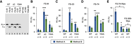 FIGURE 4.