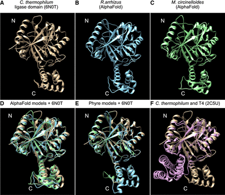 FIGURE 2.