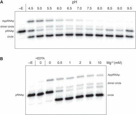 FIGURE 6.