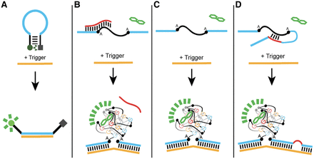 FIGURE 1.