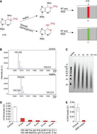 FIGURE 1.