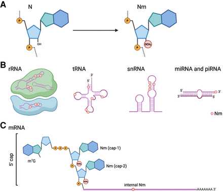 FIGURE 1.