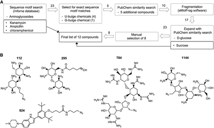 FIGURE 6.