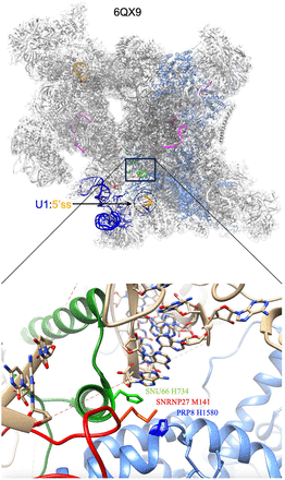 FIGURE 1.