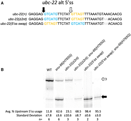FIGURE 7.