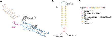 FIGURE 2.