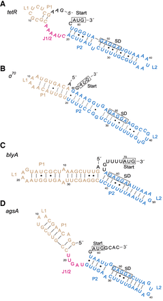 FIGURE 3.