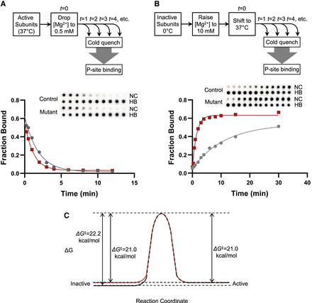 FIGURE 4.