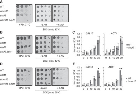 FIGURE 4.