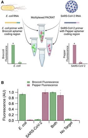 FIGURE 5.
