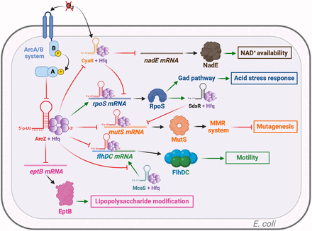 FIGURE 2.