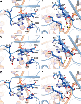 FIGURE 4.