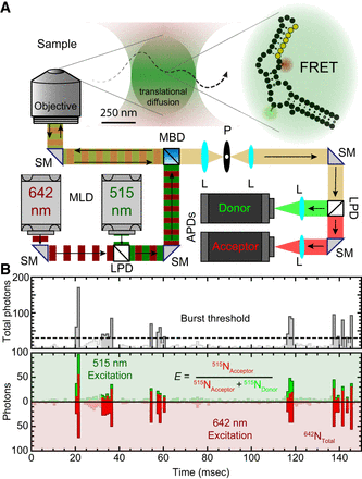 FIGURE 2.