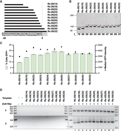 FIGURE 2.