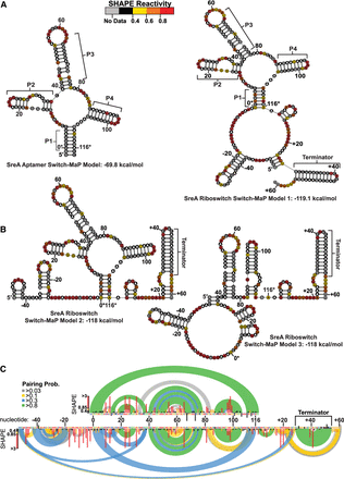 FIGURE 5.
